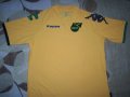 Jamaica Home football shirt 2008 - 2012
