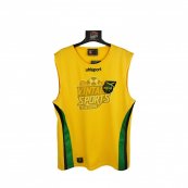 Training/Leisure football shirt 2005 - 2008