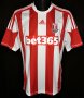 Stoke City Home football shirt 2012 - 2013
