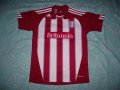 Stoke City Home football shirt 2010 - 2011