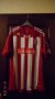 Stoke City Home football shirt 2010 - 2011
