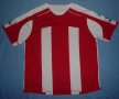 Stoke City Home voetbalshirt  2009 - 2010