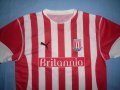 Stoke City Home football shirt 2005 - 2006
