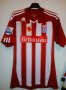 Stoke City Home football shirt 2010 - 2011