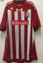 Stoke City Home football shirt 2010 - 2011