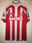 Stoke City Home football shirt 2014 - 2015