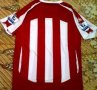 Stoke City Home voetbalshirt  2009 - 2010