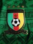 Cameroon Home футболка 2014