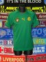 Cameroon Home football shirt 2004 - 2005