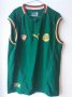 Cameroon Home football shirt 2002 - 2003