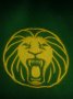 Cameroon Home football shirt 2009 - 2011