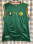 Cameroon Home football shirt 2002 - 2003