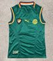 Cameroon Home football shirt 2002 - 2003