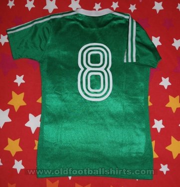 Cameroon Home football shirt (unknown year)