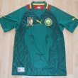 Home football shirt 2012 - 2013