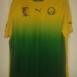 Away football shirt 2012 - 2013