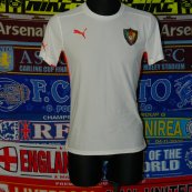 Training/Leisure football shirt 2009 - 2011