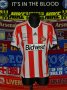 Sunderland Home camisa de futebol 2013 - 2014