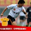 Home football shirt 2012