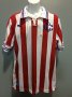Chivas de Guadalajara Special football shirt 2016 - 2017