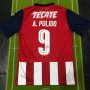 Chivas de Guadalajara Home football shirt 2016 - 2017