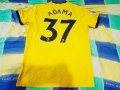 Wolverhampton Wanderers Home football shirt 2018 - 2019