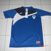 Home football shirt 2012 - 2013