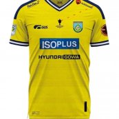 Cup Shirt football shirt 2022 - 2023