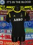 AIK Fotboll  Home football shirt 2012 - 2013