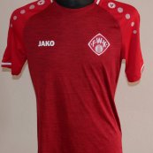 Unknown shirt type 2018 - 2019