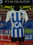 IFK Goteborg Home football shirt 2005 - 2006