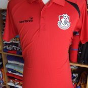 Training/Leisure football shirt (unknown year)