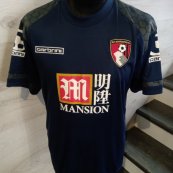 Training/Leisure football shirt 2015 - ?