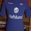 Home football shirt 2010
