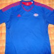 Home football shirt 2011