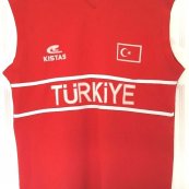 Training/Leisure football shirt 2001 - 2002