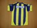 Fenerbahce Home football shirt 2010 - 2011