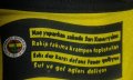 Fenerbahce Away football shirt 2010 - 2011