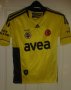Fenerbahce Away football shirt 2010 - 2011
