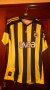 Fenerbahce Home football shirt 2010 - 2011