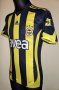 Fenerbahce Home football shirt 2009 - 2010