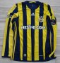 Fenerbahce Home football shirt 2016 - 2017