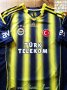 Fenerbahce Home football shirt 2013 - 2014