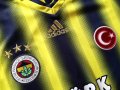 Fenerbahce Home football shirt 2013 - 2014