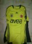 Fenerbahce Away football shirt 2010 - 2011
