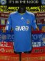 Fenerbahce Away football shirt 2010 - 2011