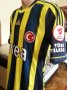 Fenerbahce Home football shirt 2011 - 2012