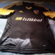 Unknown shirt type 2015 - 2016