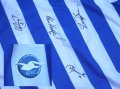 Brighton & Hove Albion Специальная футболка 2007
