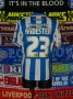 Brighton & Hove Albion Home football shirt 2011 - 2013